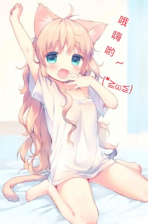 QQ20191124110814.jpg