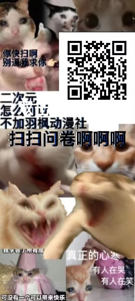 51a93baeaaca1c9e.jpg